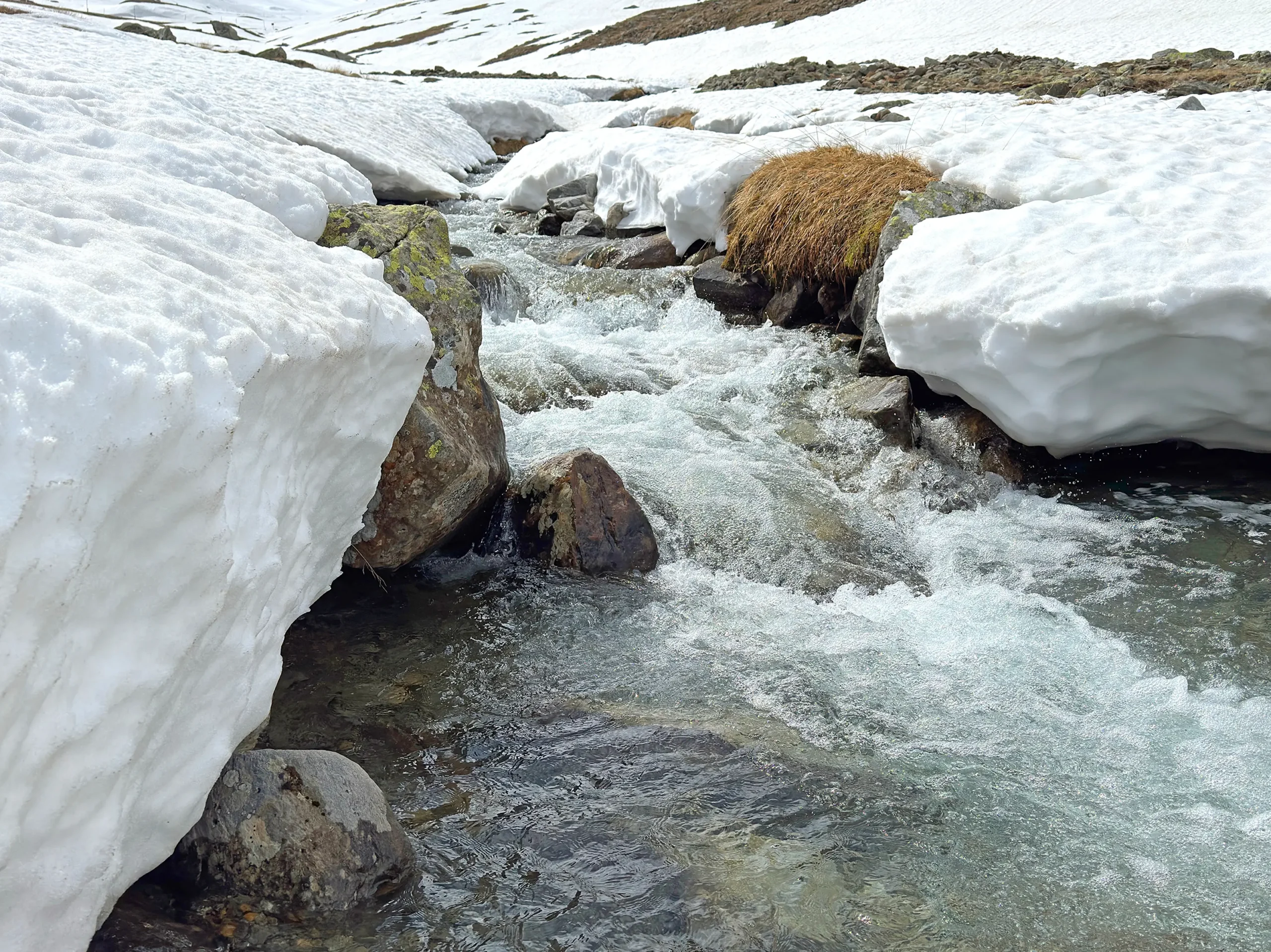 2025-05-15 10-54-54 2