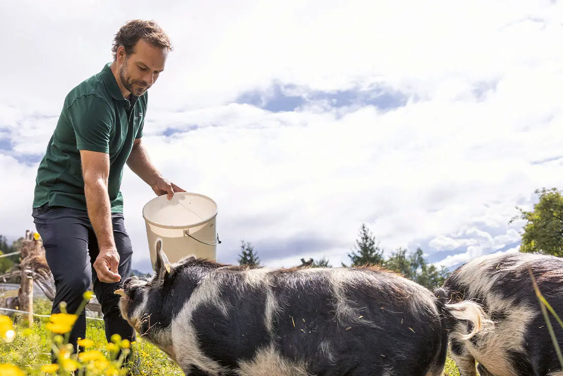 Subaru_arzler-alm-1100-1